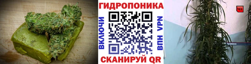купить наркотики сайты  Алагир  Canna-Cookies конопля 
